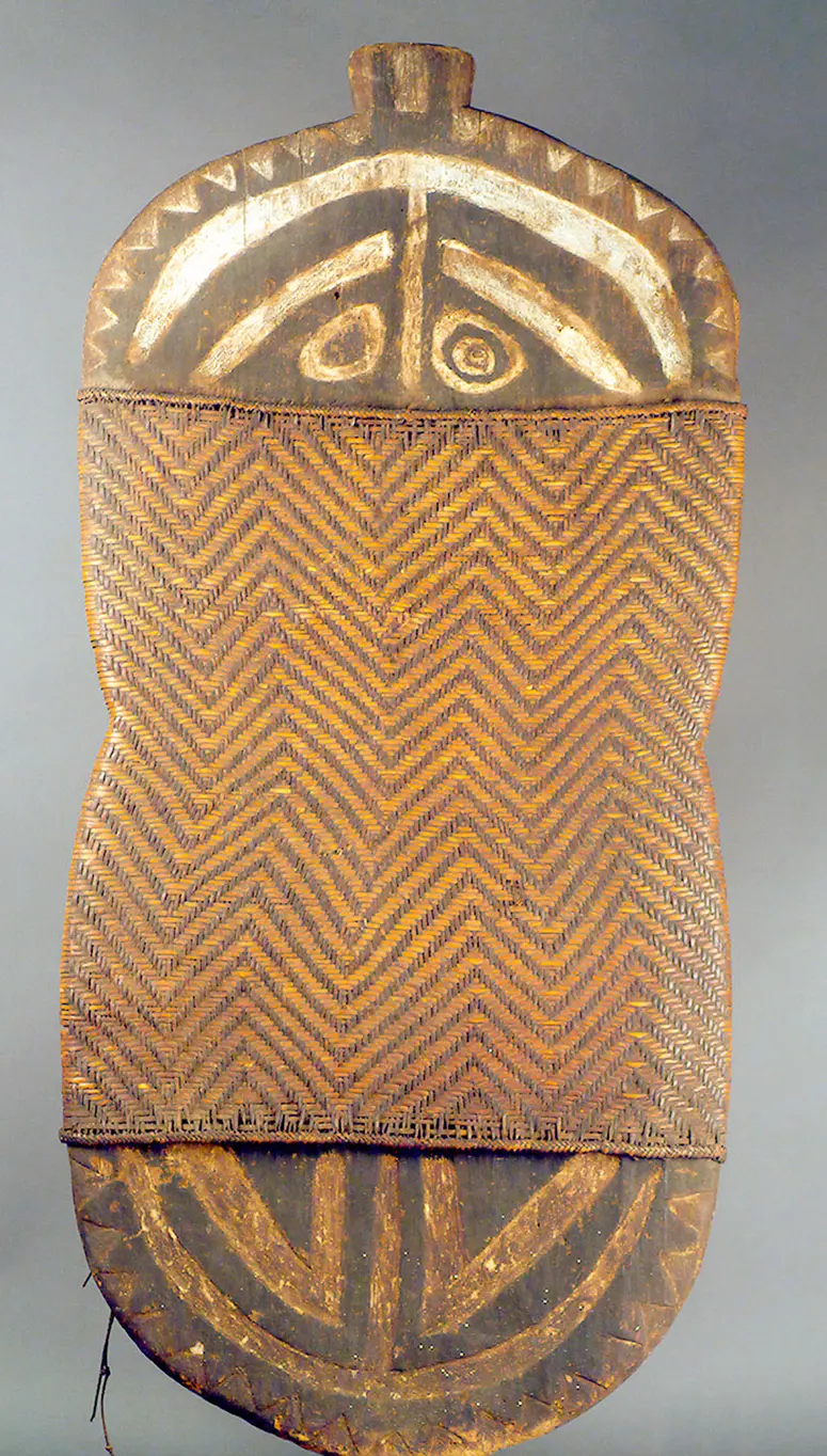 Shield
