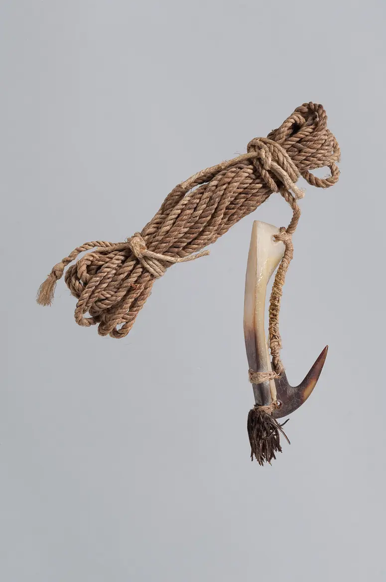 Fishing hook with fishing line