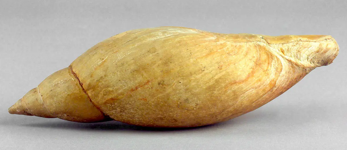 Trinkgefäß