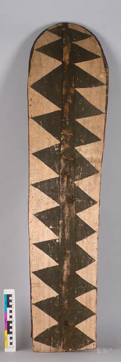 Shield