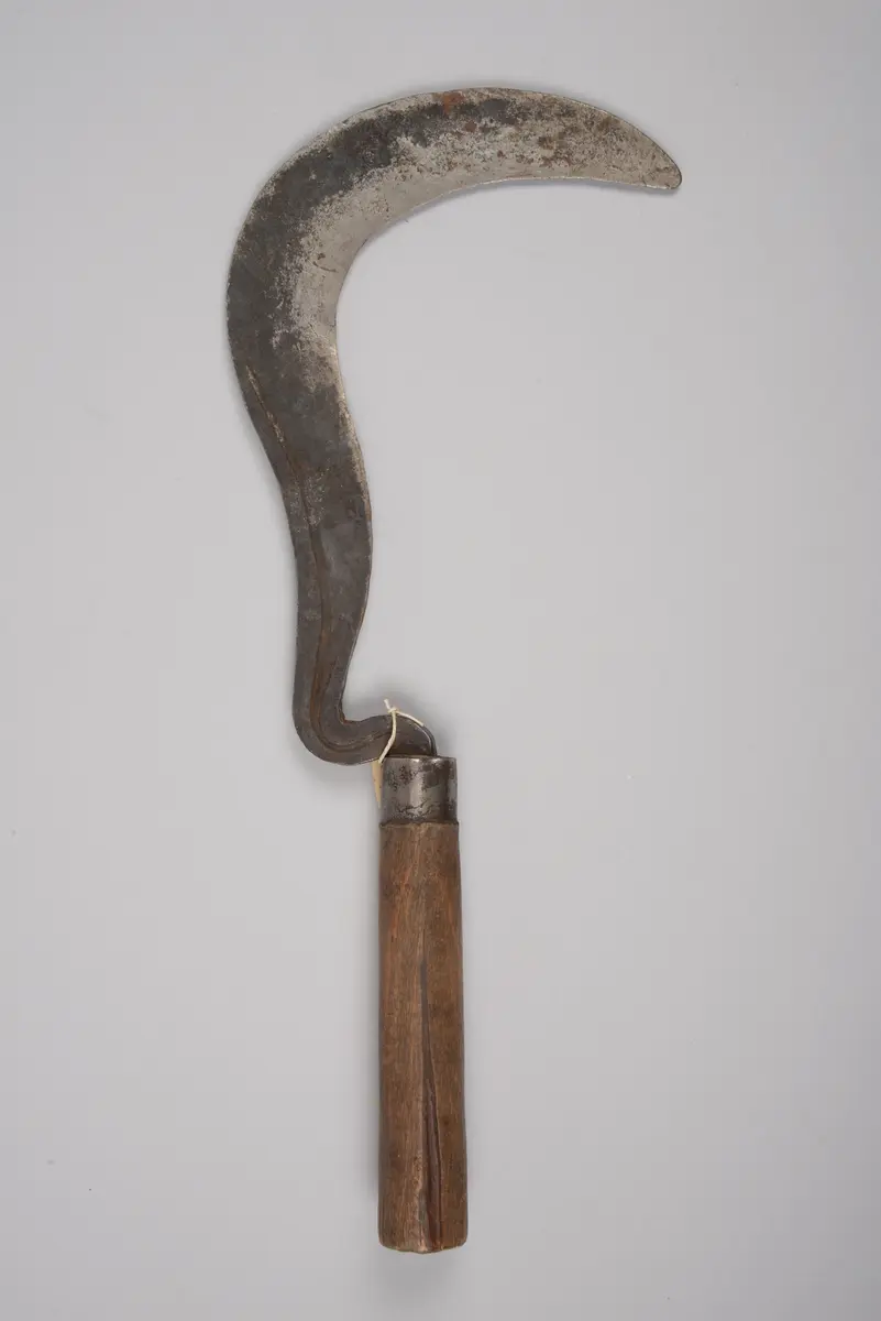 Sichel