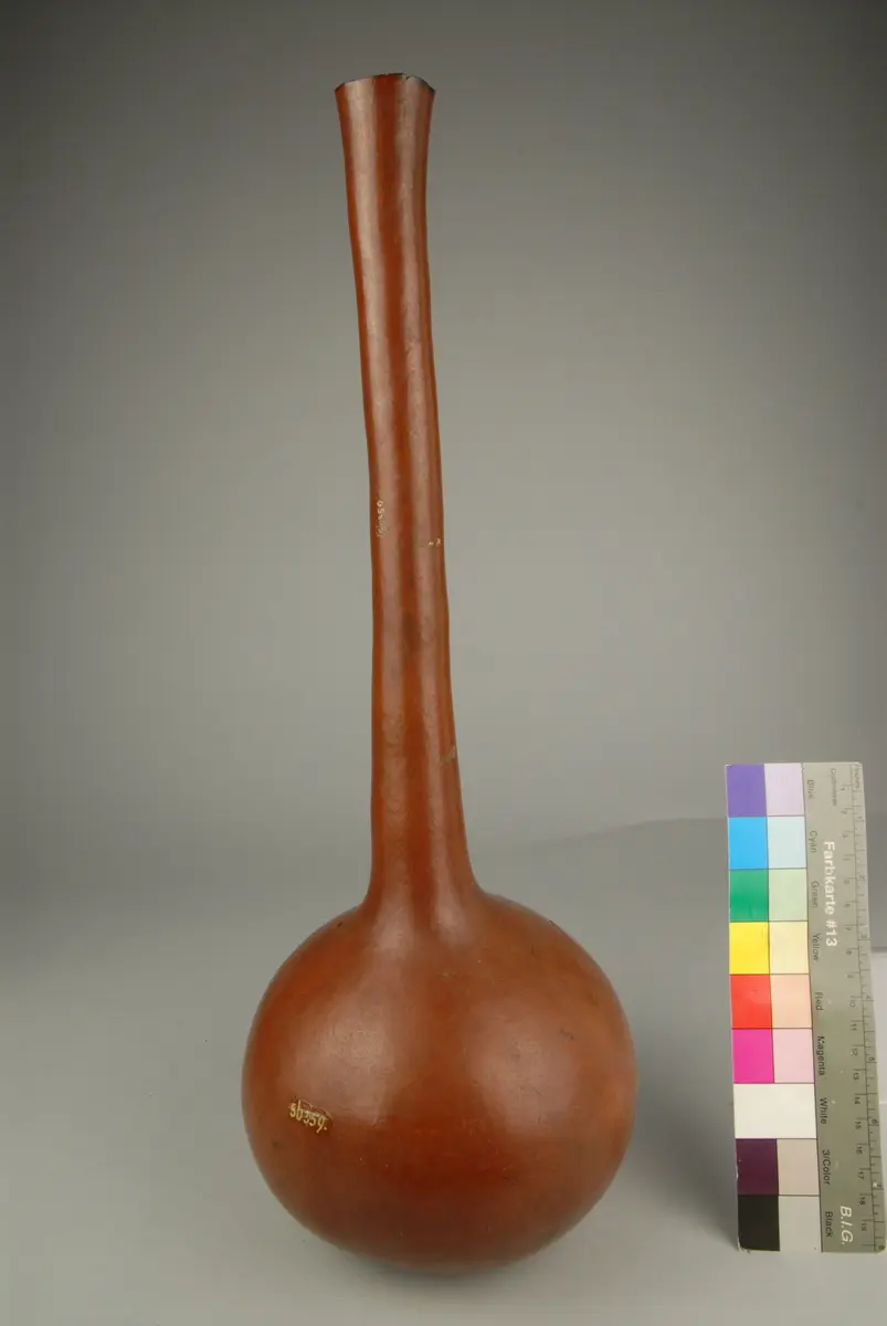 Flaschenkürbis