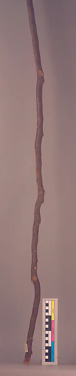 Stick