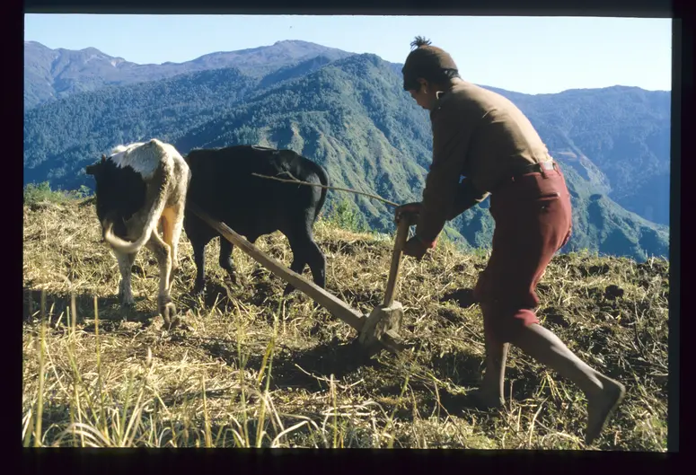 Landwirtschaft