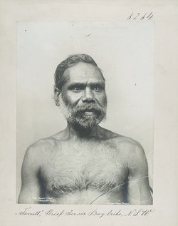 "Tewitt", Chief, Jervis Bay tribe, N.S.W.