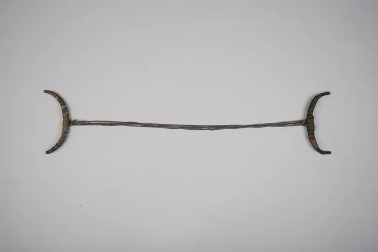 Schutzmedizin