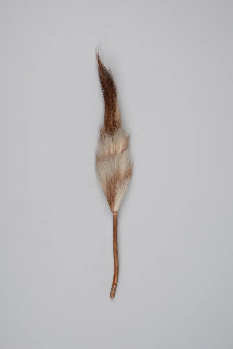Fliegenwedel