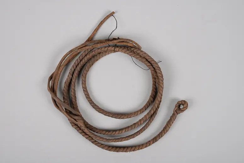 Braided Leather Strap
