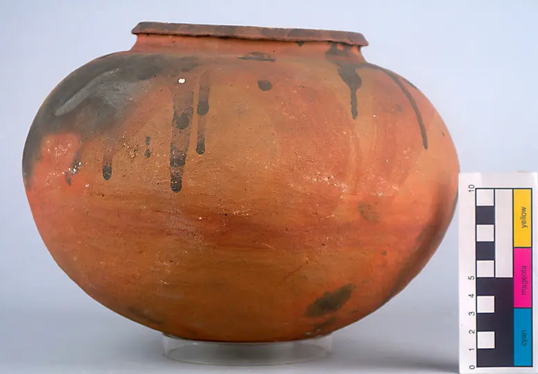 Pot