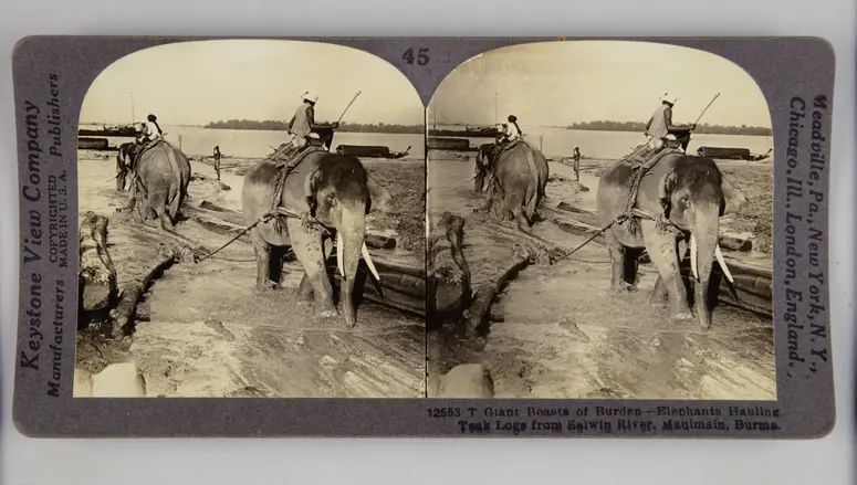 Stereofotografie, sepia