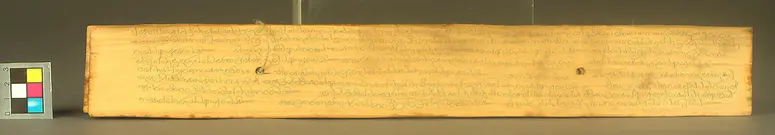 Text