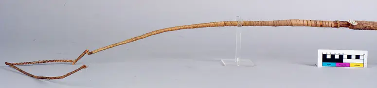 Ceremonial whip for the Yurupari ritual