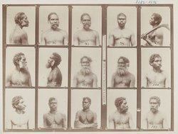 "Dhraub", Chief Bombola tribe, N.S.W.