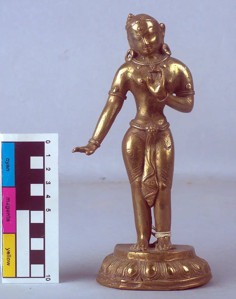 Tara