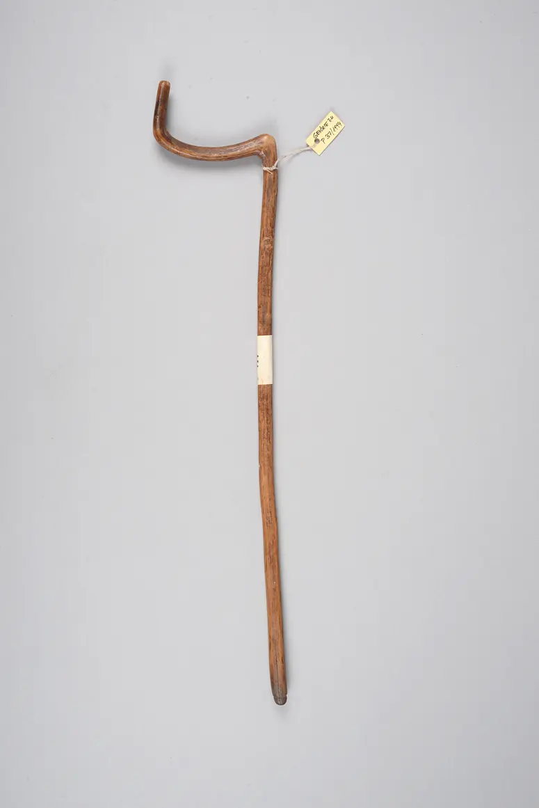 Stab für Tasche