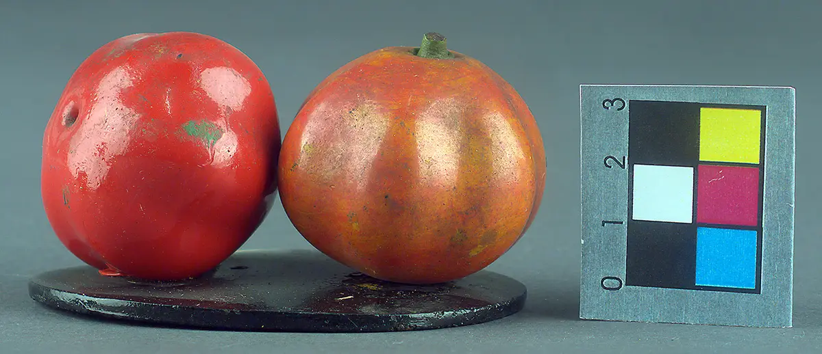Schellakdarstellung, Frucht