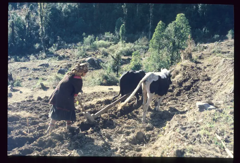 Landwirtschaft