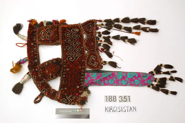 Kopfschmuck für Kamel