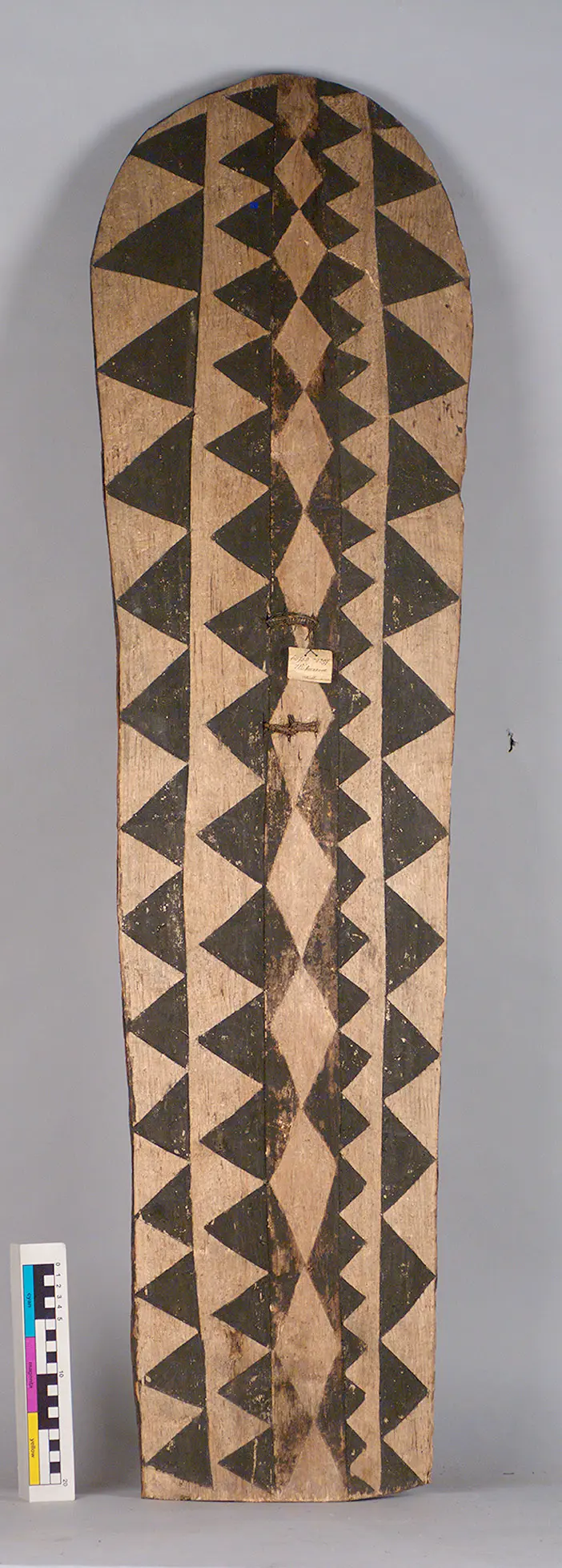 Shield