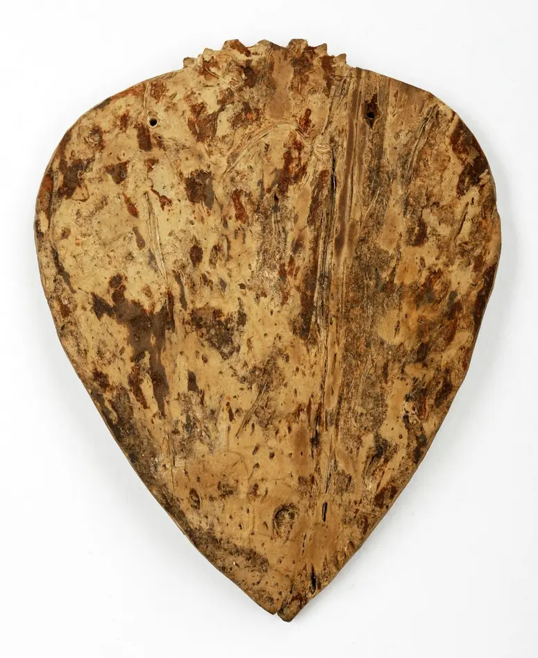 Modesty plate