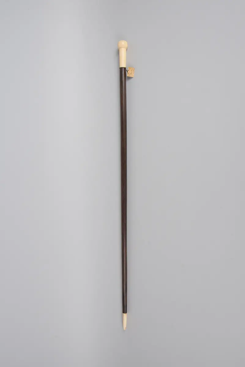 Spazierstock