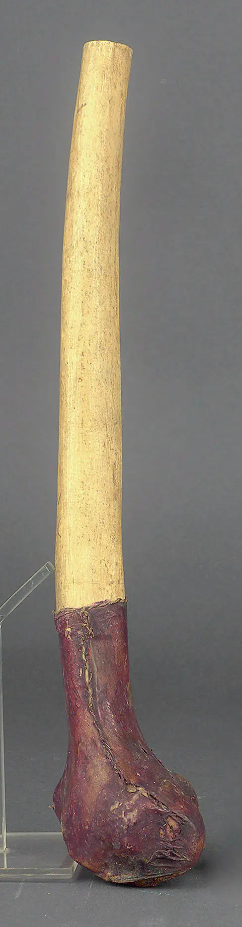 Knochentrompete