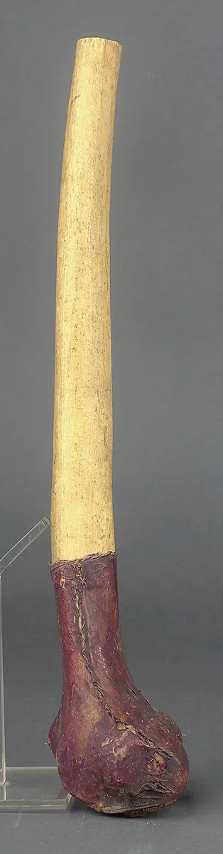 Knochentrompete