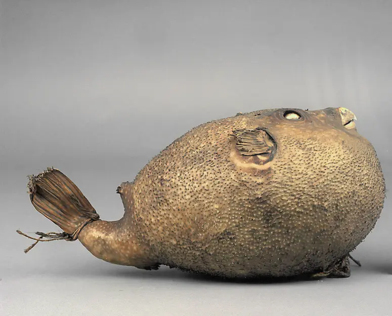 Getrockneter Nilkugelfisch