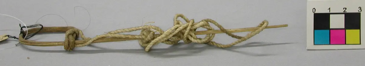 Vogelschlinge