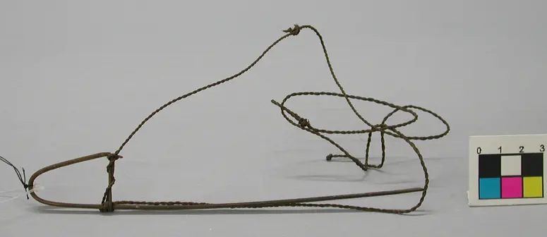 Vogelschlinge