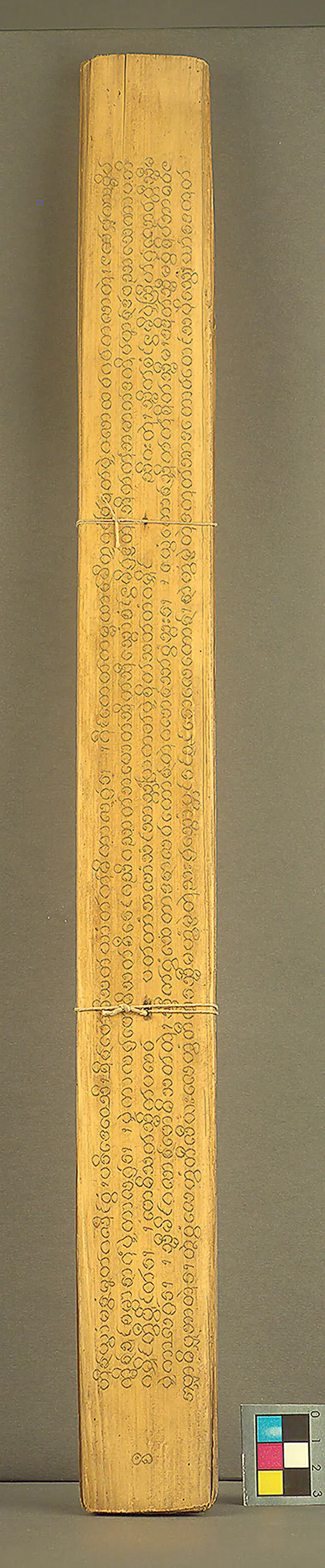 Text