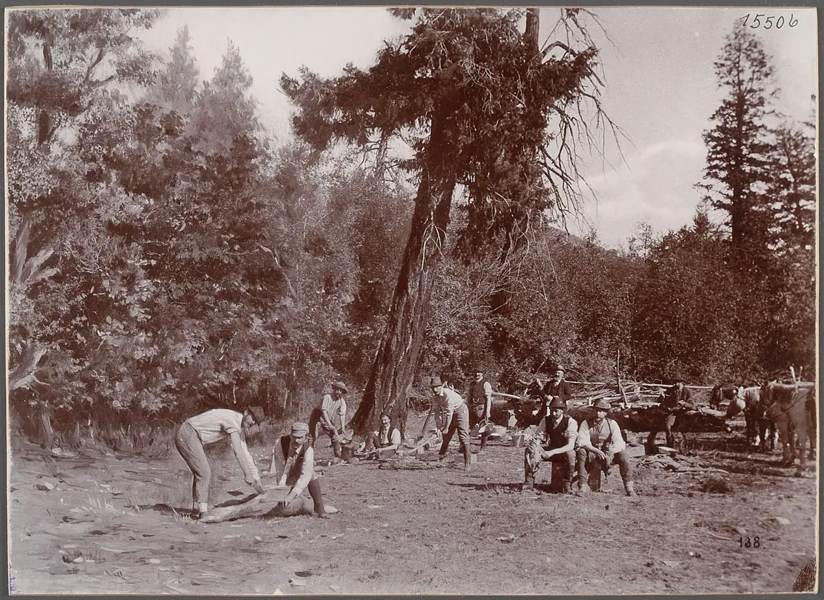 At the hunting camp, Shingle Creek