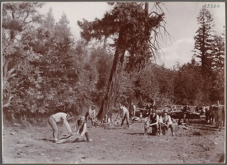 Im Jagdlager, Shingle Creek