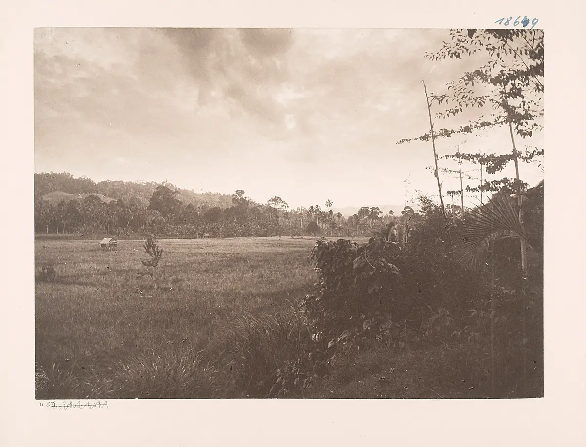 Umgebung meines Hauses in Gunung Sitoli
