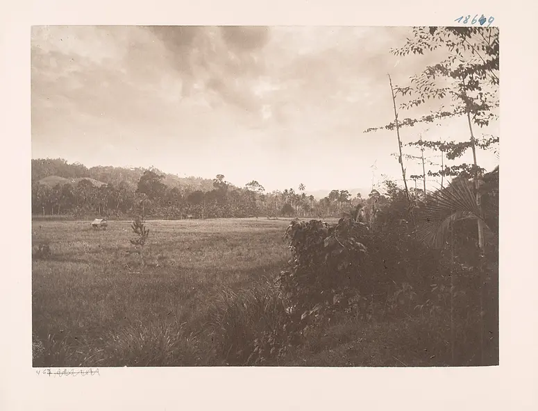 Umgebung meines Hauses in Gunung Sitoli