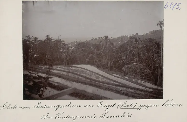 Blick vom Pasangrahan von Gitgit (Bali) gegen Osten. Im Vordergrund Sawah's (Reisterrasse)