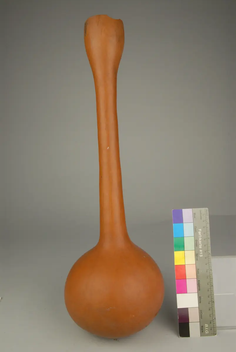 Flaschenkürbis