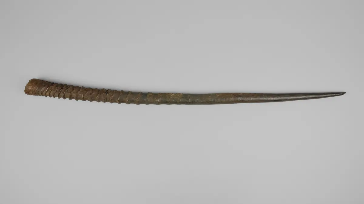 Antilopenhorn