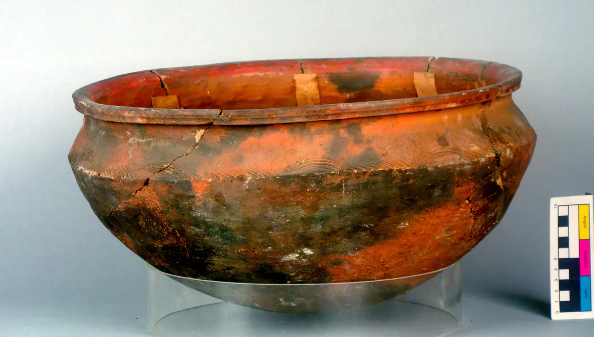 Bowl