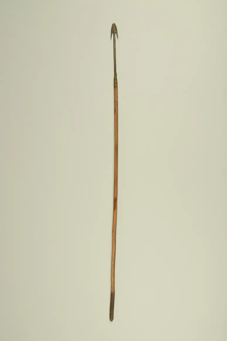 Pfeil