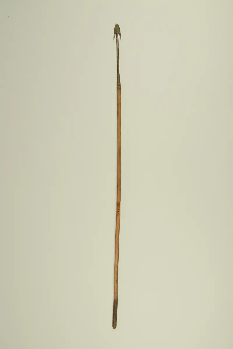 Pfeil