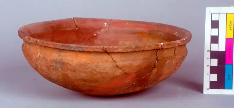 Bowl