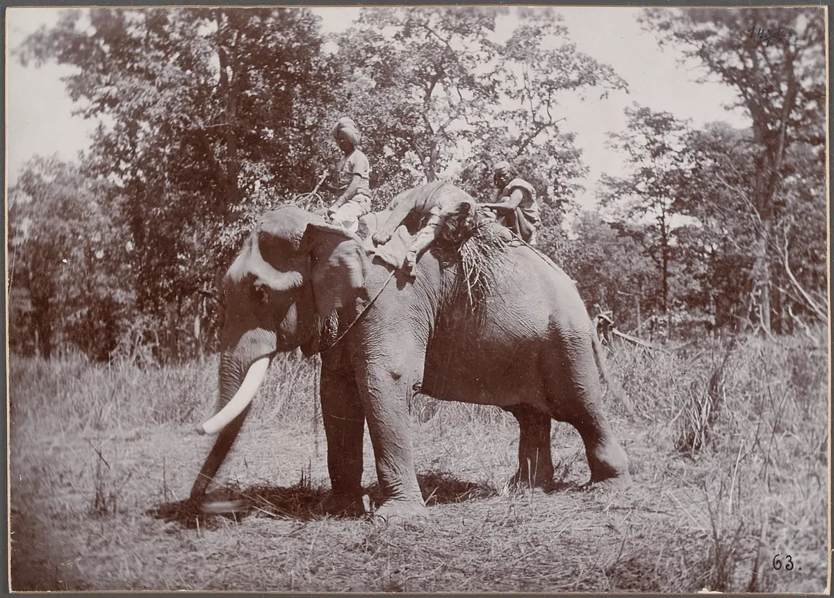 Katni, Sr. k.u.k. Hoheit