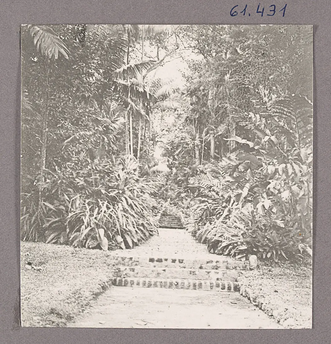 Kandy auf Ceylon