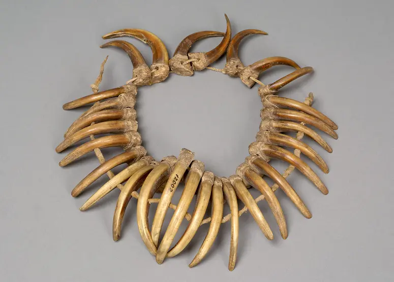 Bear claw necklace