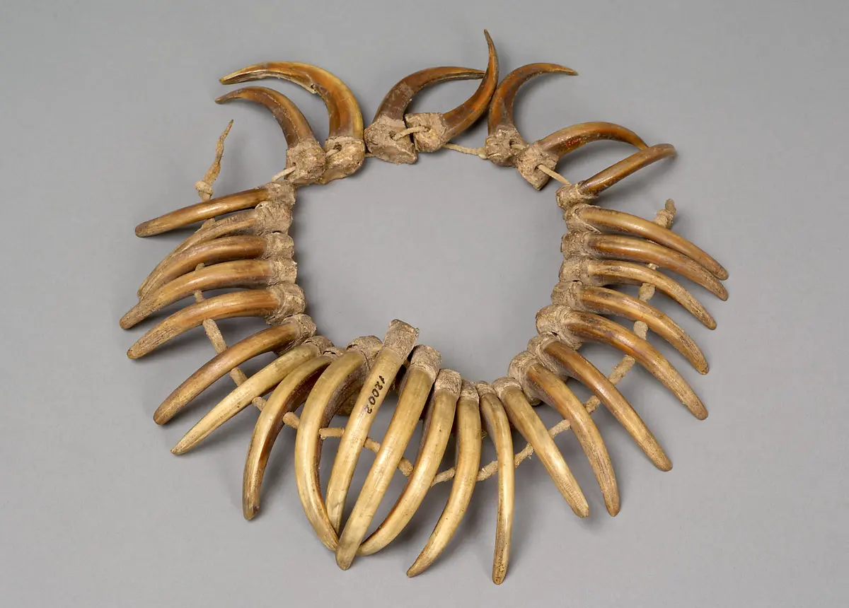 Bear claw necklace