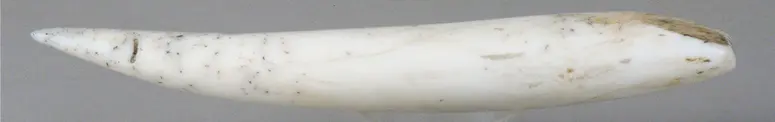 Betelnut tamper