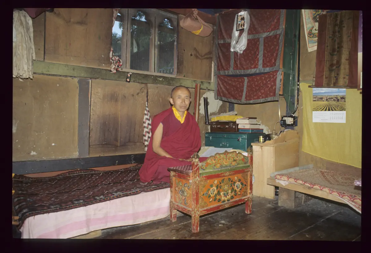 Lama in seinem Zimmer
