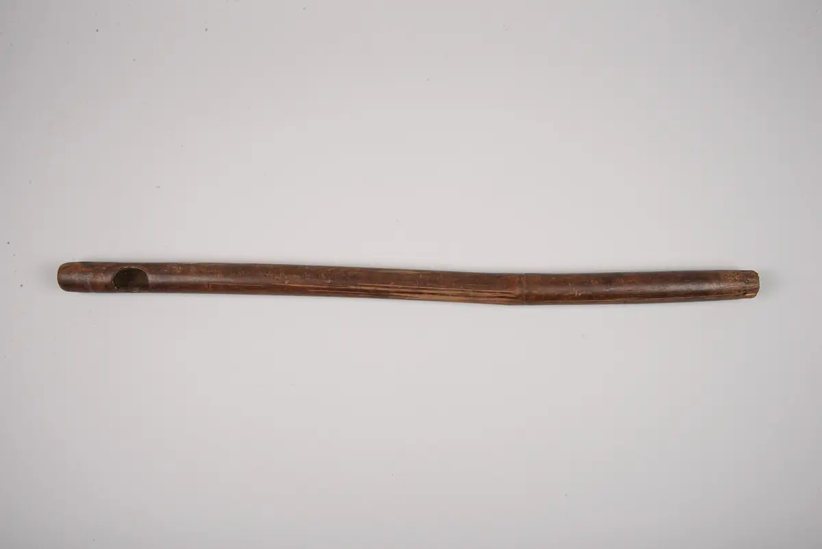 Musikhorn