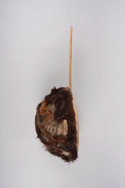 Instrument: Lute